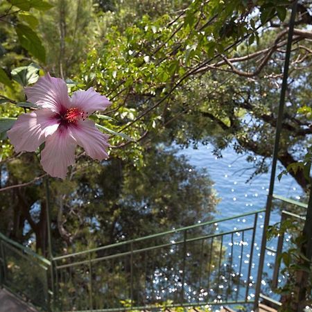 Amore Rentals - Villa Lo Scoglio Positano Exterior photo