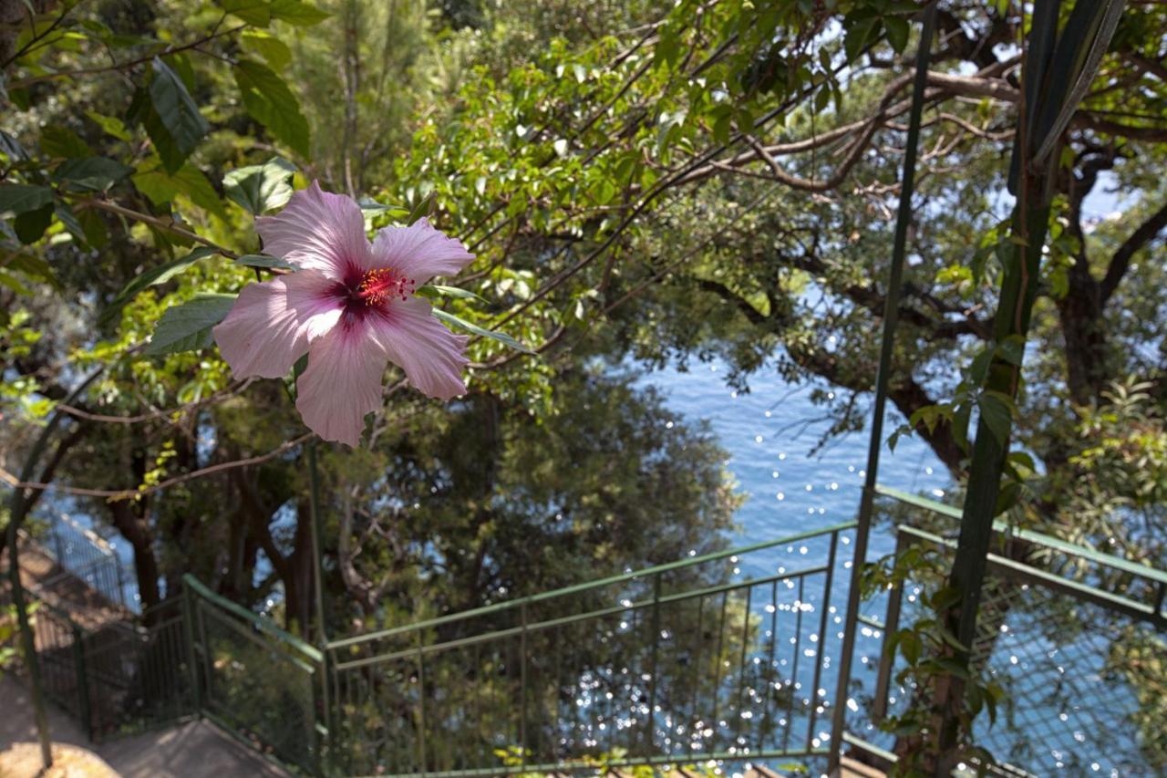 Amore Rentals - Villa Lo Scoglio Positano Exterior photo